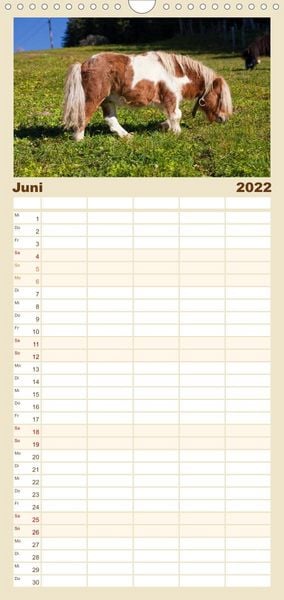 Produktbild: Familienplaner Pferde und Ponys im Paradies (Wandkalender 2022 , 21 cm x 45 cm, hoch)