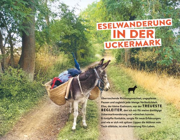 Produktbild: Tausche Alltag gegen Alpaka