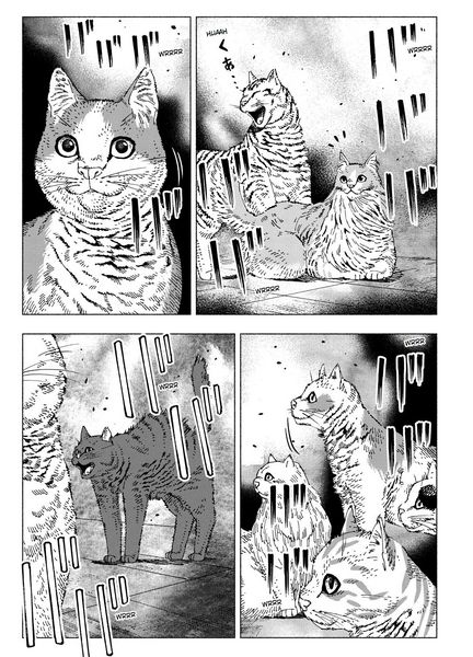 Produktbild: Night of the Living Cat 02 - Katzen sind unbarmherzige Herrscher