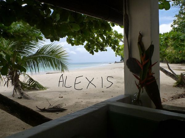 Produktbild: Alexis
