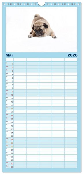 Produktbild: Familienplaner 2026 - Mops - unwiderstehlich und charmant mit 5 Spalten (Wandkalender, 21 x 45 cm) CALVENDO