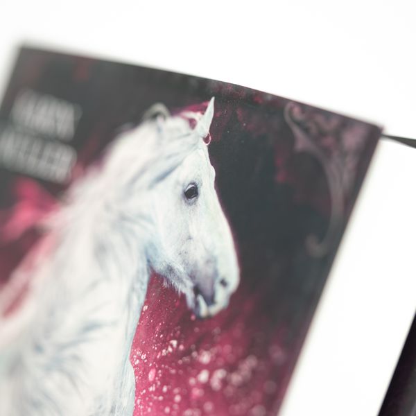 Produktbild: Seahorse - Die Hoffnung der Wasserpferde
