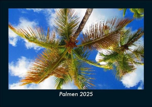Produktbild: Palmen 2025 Fotokalender DIN A5