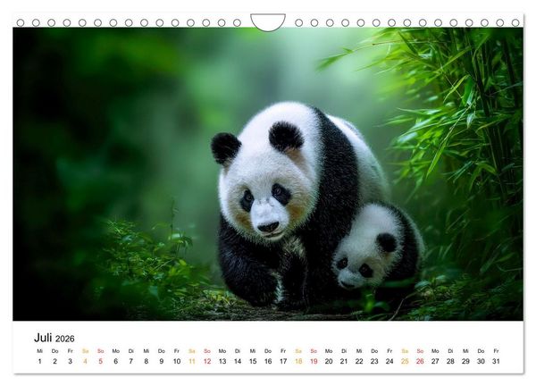Produktbild: Panda - die Stimme der Wildnis (Wandkalender 2026 DIN A4 quer), CALVENDO Monatskalender