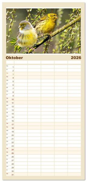 Produktbild: Familienplaner 2026 - Deutschlands Finken mit 5 Spalten (Wandkalender, 21 x 45 cm) CALVENDO