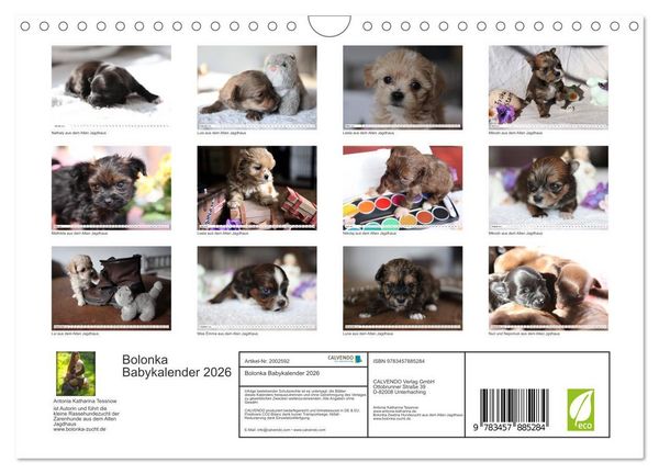 Produktbild: Bolonka Babykalender 2026 (Wandkalender 2026 DIN A4 quer), CALVENDO Monatskalender