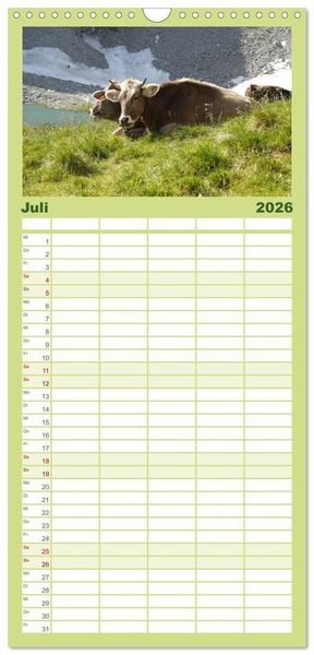 Produktbild: Familienplaner 2026 - K&uuml;he mit H&ouml;rnern mit 5 Spalten (Wandkalender, 21 x 45 cm) CALVENDO