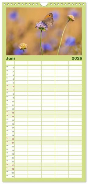 Produktbild: Familienplaner 2026 - Schmetterlinge. Schimmernde Zauberwesen mit 5 Spalten (Wandkalender, 21 x 45 cm) CALVENDO
