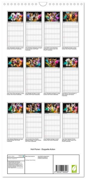 Produktbild: Familienplaner 2026 - Holi Pulver - Doppelte Action mit 5 Spalten (Wandkalender, 21 x 45 cm) CALVENDO
