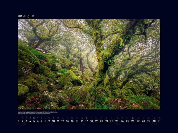 Produktbild: Magische W&auml;lder der Erde - KUNTH Wandkalender 2027