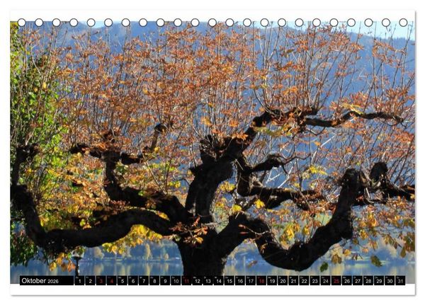 Produktbild: Liebeserkl&auml;rung an Zell am See (Tischkalender 2026 DIN A5 quer), CALVENDO Monatskalender