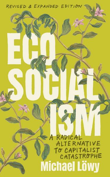 Produktbild: Ecosocialism (Revised and Expanded Edition)