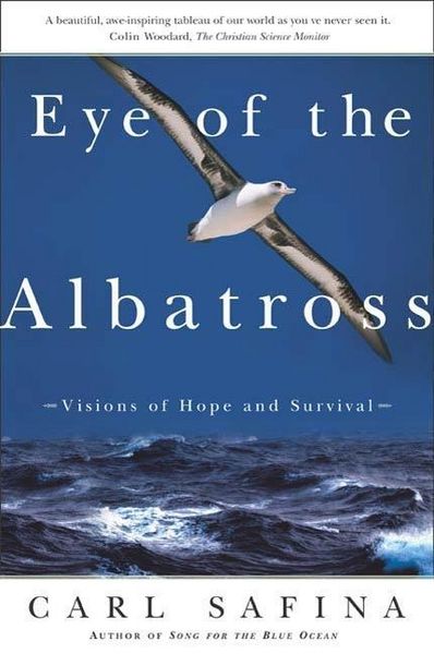 Produktbild: Eye of the Albatross