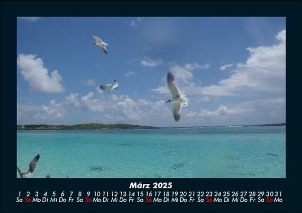 Produktbild: Vogelparadies 2025 Fotokalender DIN A5