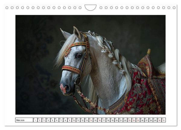 Produktbild: Bezaubernde Eleganz wei&szlig;er Pferde (Wandkalender 2026 DIN A4 quer), CALVENDO Monatskalender