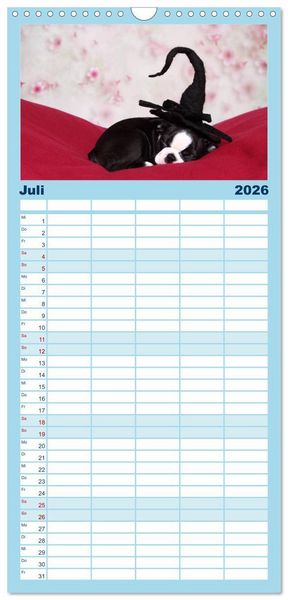 Produktbild: Familienplaner 2026 - S&uuml;&szlig;e Tr&auml;ume 2026 - schlafende Hundewelpen mit 5 Spalten (Wandkalender, 21 x 45 cm) CALVENDO
