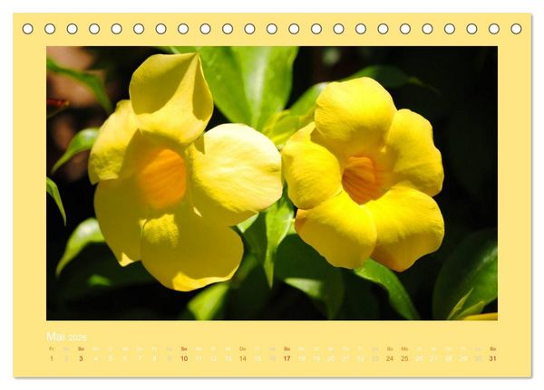Produktbild: Aloha Bl&uuml;tenzauber aus Hawaii (Tischkalender 2026 DIN A5 quer), CALVENDO Monatskalender
