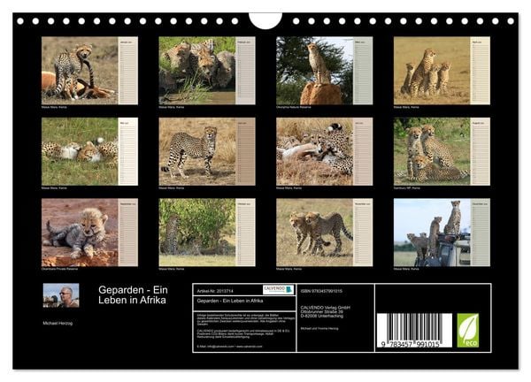Produktbild: Geparden - Ein Leben in Afrika (Wandkalender 2026 DIN A4 quer), CALVENDO Monatskalender