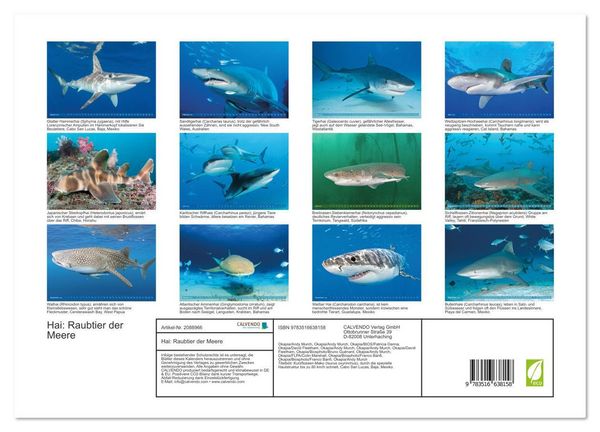 Produktbild: Hai: Raubtier der Meere (hochwertiger Premium Wandkalender 2026 DIN A2 quer), Kunstdruck in Hochglanz