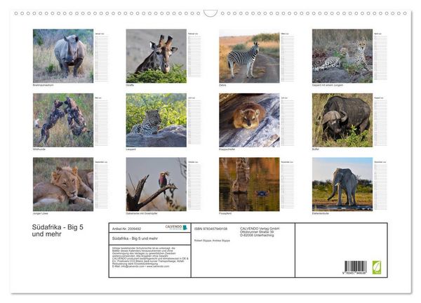 Produktbild: S&uuml;dafrika - Big 5 und mehr (Wandkalender 2026 DIN A2 quer), CALVENDO Monatskalender