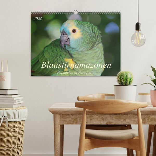 Produktbild: Blaustirnamazonen - Papageien in Paraguay (Wandkalender 2026 DIN A3 quer), CALVENDO Monatskalender