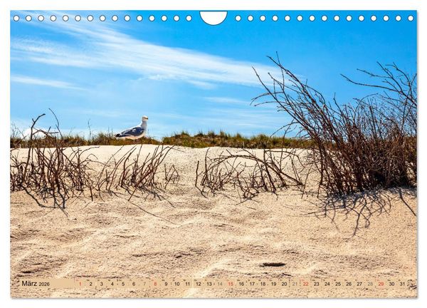 Produktbild: Norderney Spaziergang (Wandkalender 2026 DIN A4 quer), CALVENDO Monatskalender