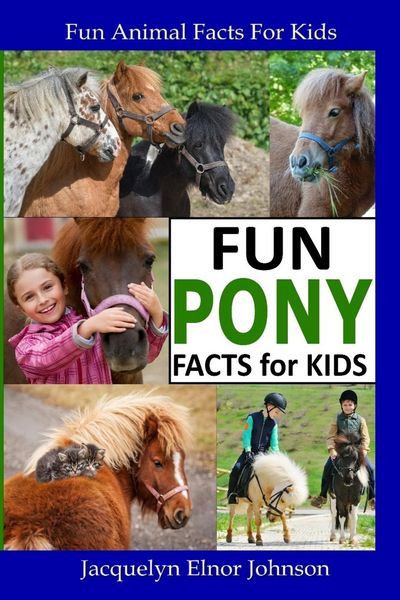 Produktbild: Fun Pony Facts for Kids
