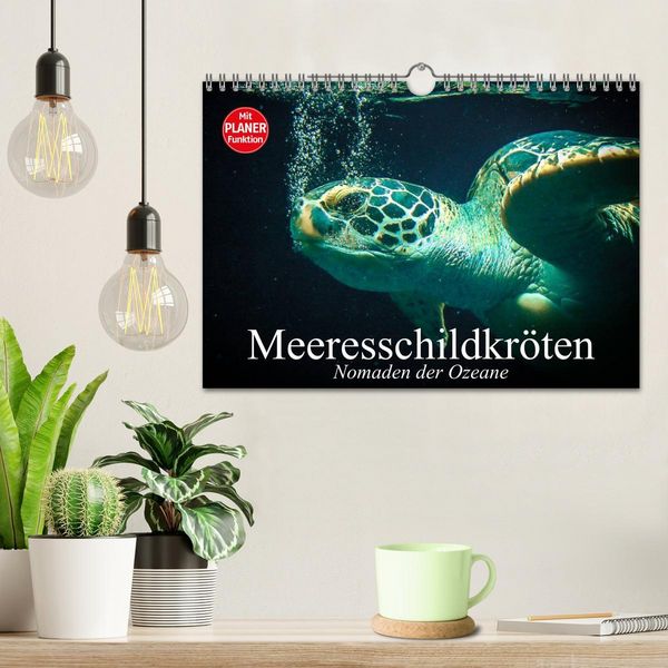 Produktbild: Meeresschildkr&ouml;ten. Nomaden der Ozeane (Wandkalender 2026 DIN A4 quer), CALVENDO Monatskalender