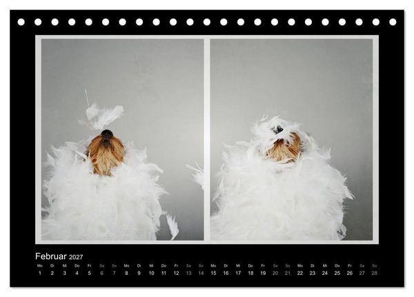 Produktbild: Elli Pirelli... aus dem Leben eines fr&ouml;hlichen Pinscher-Dackel-M&auml;dels (Tischkalender 2027 DIN A5 quer), CALVENDO Monatskalender