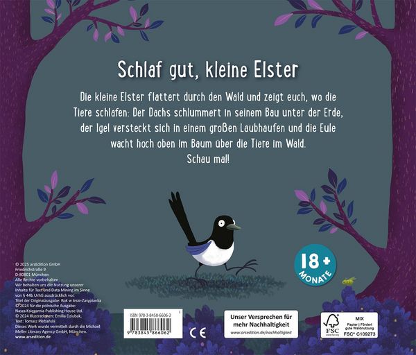 Produktbild: Gute Nacht im Wald