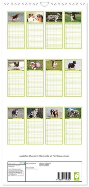 Produktbild: Familienplaner 2027 - Australian Shepherd - H&uuml;tehunde mit Familienanschluss mit 5 Spalten (Wandkalender, 21 x 45 cm) CALVENDO