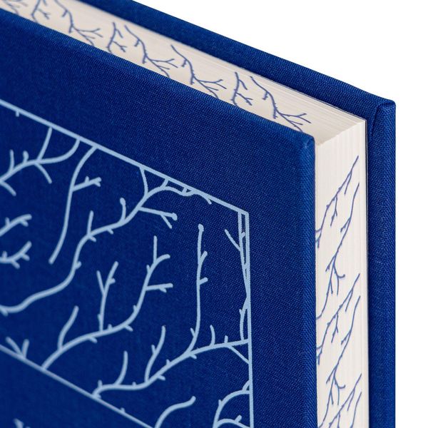 Produktbild: Wuthering Heights. Signature Clothbound Edition