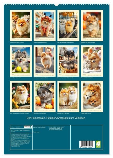 Produktbild: Der Pomeranian. Putziger Zwergspitz zum Verlieben (hochwertiger Premium Wandkalender 2027 DIN A2 hoch), Kunstdruck in Hochglanz
