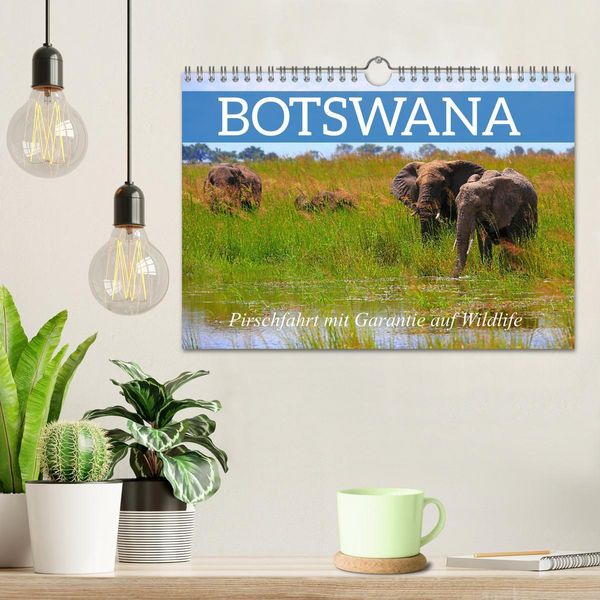 Produktbild: Botswana- Pirschfahrt mit Garantie auf Wildlife (Wandkalender 2026 DIN A4 quer), CALVENDO Monatskalender