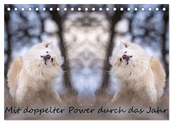 Produktbild: Mit doppelter Power durch das Jahr (Tischkalender 2026 DIN A5 quer), CALVENDO Monatskalender