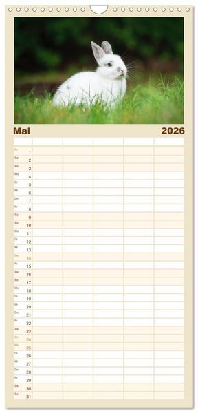 Produktbild: Familienplaner 2026 - Hasen - Die niedlichen Hoppeltiere. mit 5 Spalten (Wandkalender, 21 x 45 cm) CALVENDO