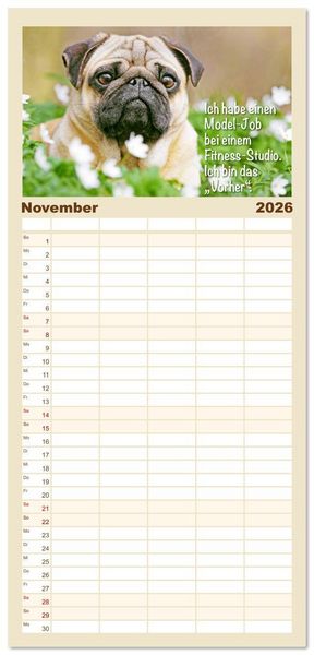 Produktbild: Familienplaner 2026 - Mopsala: Vom Gl&uuml;ck, ein Mops zu sein mit 5 Spalten (Wandkalender, 21 x 45 cm) CALVENDO