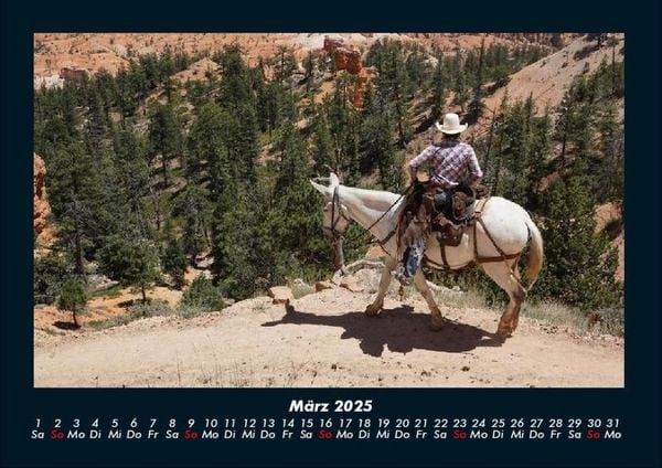 Produktbild: Pferde Kalender 2025 Fotokalender DIN A4