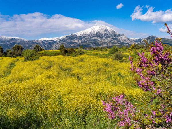 Produktbild: CALVENDO Puzzle Fr&uuml;hling auf Eub&ouml;a | 1000 Teile Lege-Gr&ouml;&szlig;e 64x48cm Foto-Puzzle f&uuml;r gl&uuml;ckliche Stunden