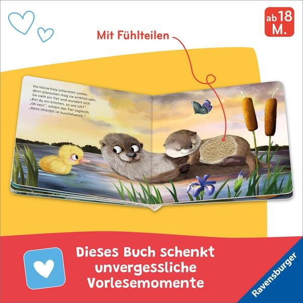Produktbild: Mein erstes Vorlese-F&uuml;hlbuch - Bist du eine Ente?