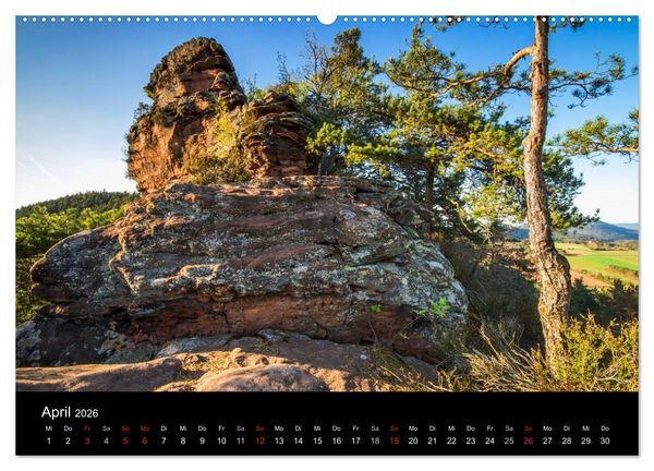 Produktbild: Mystischer Pf&auml;lzer Wald (hochwertiger Premium Wandkalender 2026 DIN A2 quer), Kunstdruck in Hochglanz