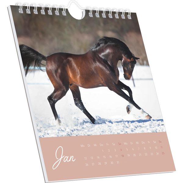 Produktbild: Traumpferde 2026 - Postkartenkalender 16x17 cm - Horses - zum Aufstellen oder Aufhängen - Monatskalendarium - Gadget - Mitbringsel - Alpha Edition