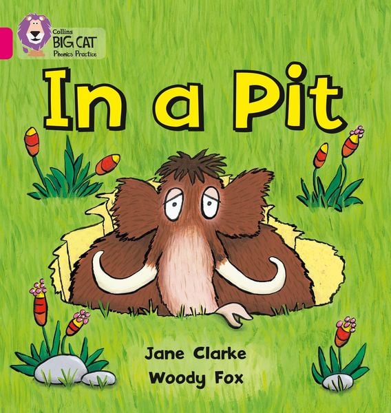 Produktbild: In a Pit