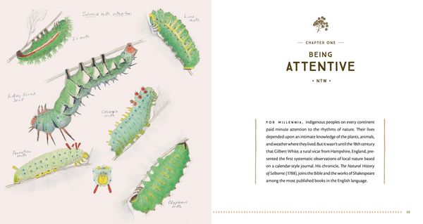 Produktbild: The Naturalist's Notebook