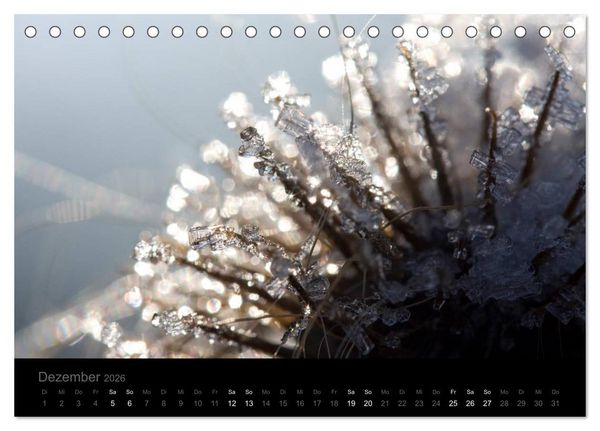 Produktbild: Natur im Detail (Tischkalender 2026 DIN A5 quer), CALVENDO Monatskalender
