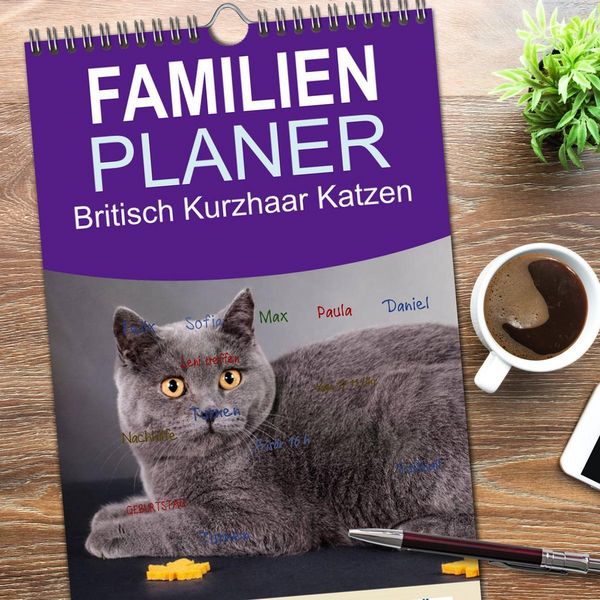 Produktbild: Familienplaner 2026 - Britisch Kurzhaar Katzen mit 5 Spalten (Wandkalender, 21 x 45 cm) CALVENDO