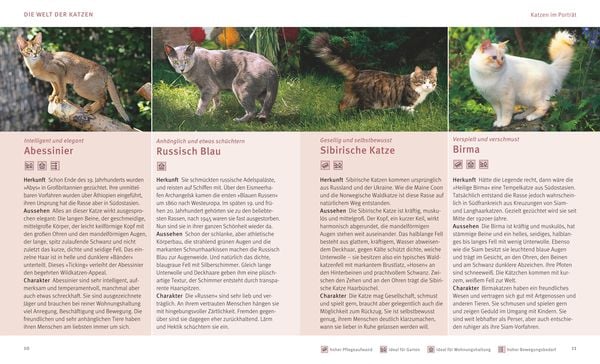Produktbild: Katzen