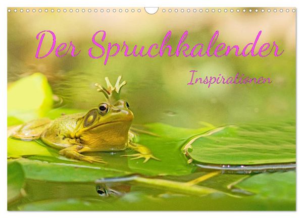 Der Spruchkalender - Inspirationen (Wandkalender 2026 DIN A3 quer), CALVENDO Monatskalender