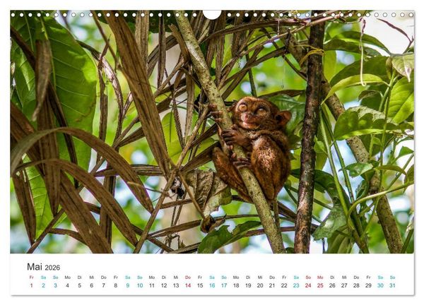 Produktbild: Philippinen - dem Paradies ganz nah (Wandkalender 2026 DIN A3 quer), CALVENDO Monatskalender