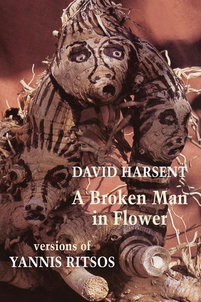 Produktbild: A Broken Man in Flower